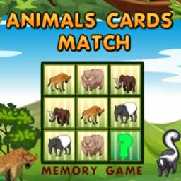 Animals Cards Match