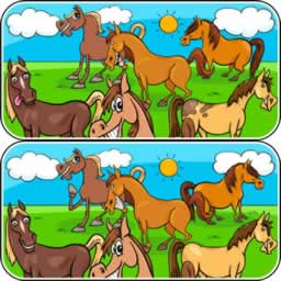Animals Differences