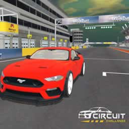 Circuit Challenge