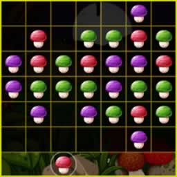 Mushroom Puzzles