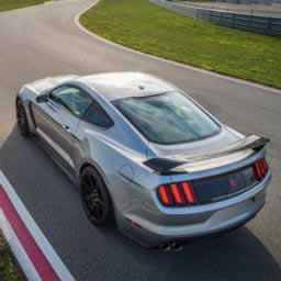 Mustang Shelby Puzzle