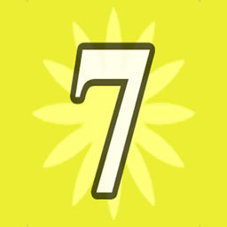 Number 7