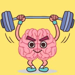 Perfect Brain 3D