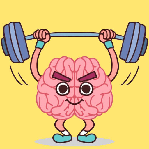 Perfect Brain 3D