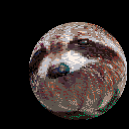 Raccoon Ball