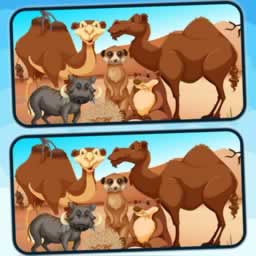 Spot 5 Differences Deserts