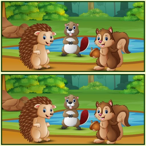 Spot The Differences Forests
